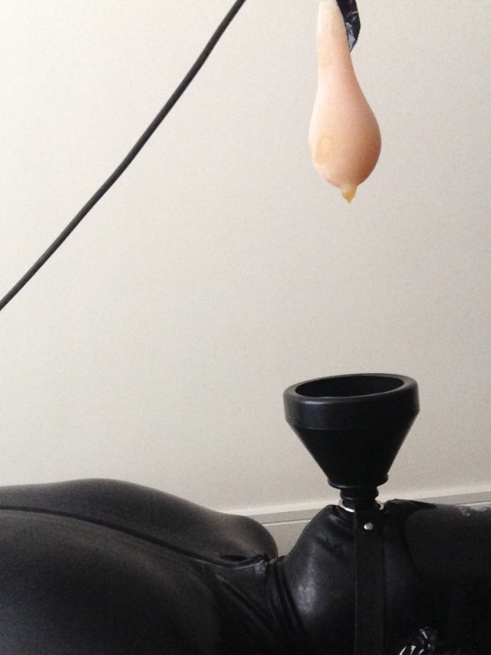 NS-Training der Sissy